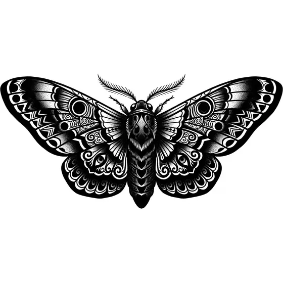 Blackwork tattoo example — A dense moth with heavily patterned wings, deep black shading throughout