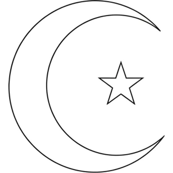 Fine Line tattoo example — A simple crescent moon and star for the upper arm