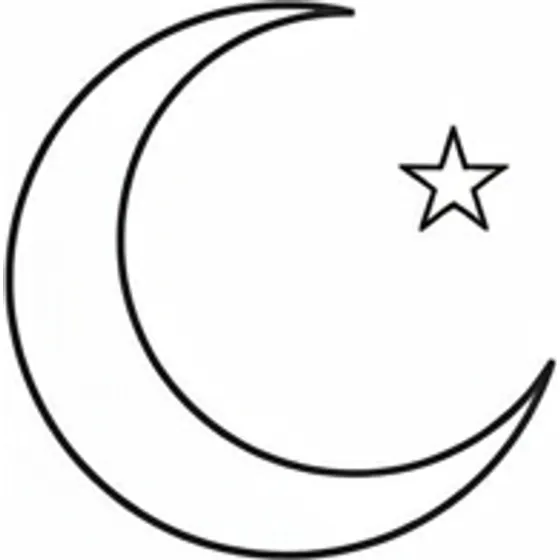 Small Tattoo Ideas example — A tiny crescent moon with a single star